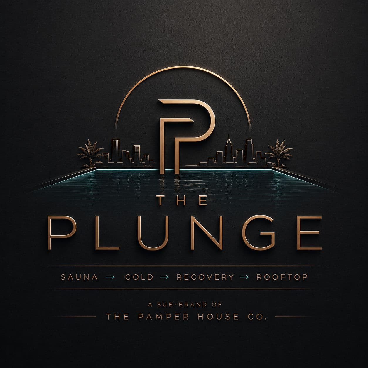 The Plunge logo